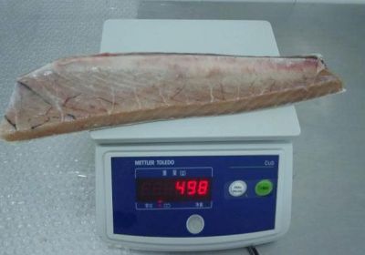 TUNA BELLEY SL