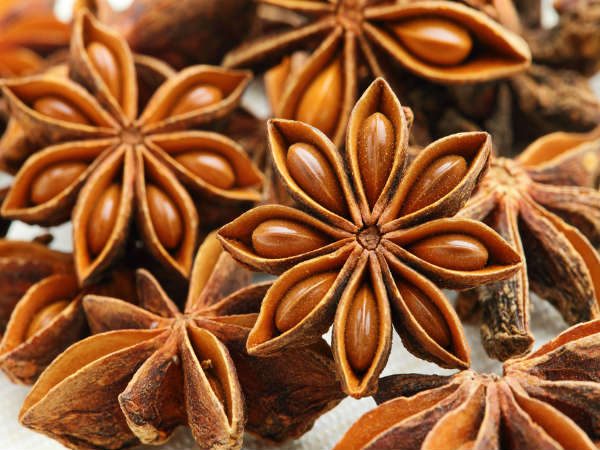 Hoa hồi vụ thu cao cấp
