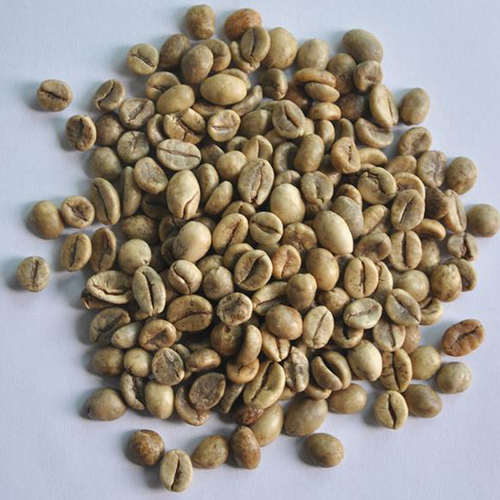 Cà phê nhân xanh – Robusta S18 đánh bóng ướt