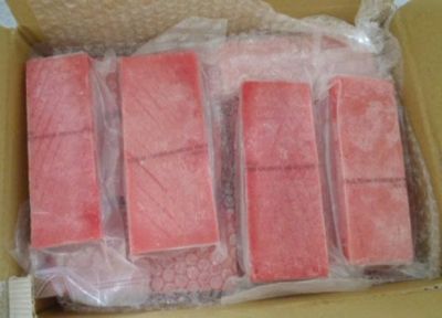 CÁ NGỪ CO SAKU KHÔNG DA