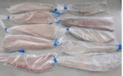 BỤNG CÁ NGỪ KHÔNG DA