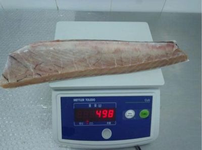 BỤNG CÁ NGỪ KHÔNG DA